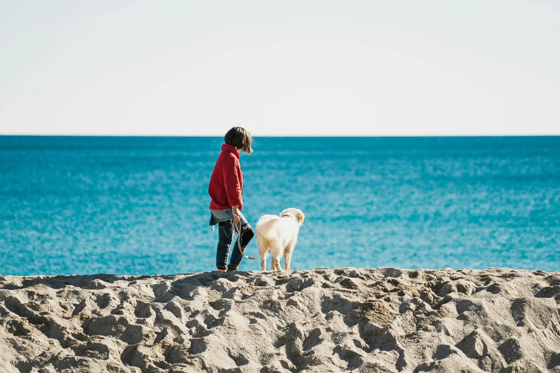 Persona e cane fermi sulla riva a guardare il mare