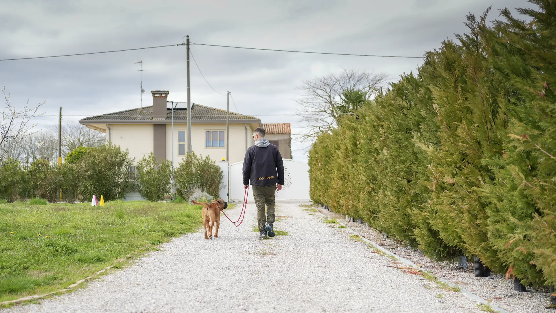 Un cane cammina al guinzaglio accanto alla persona, su una stradina di campagna