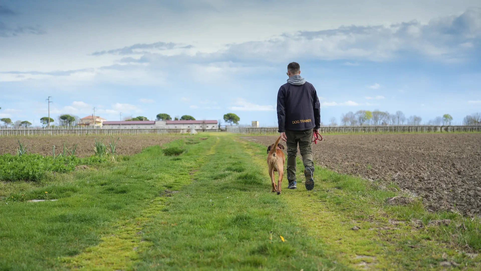 Cane che corre in giardino con un gioco in bocca