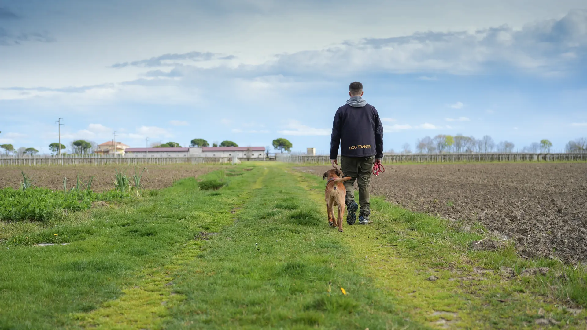 Cane attento durante una passeggiata in natura