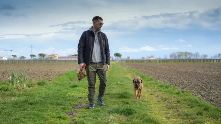 Persona e cane in un campo aperto