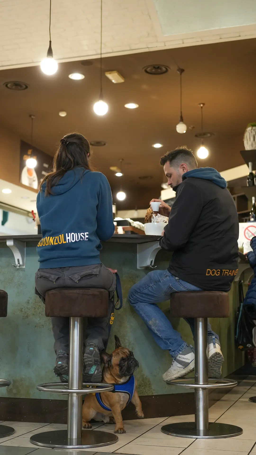 Cane fermo e tranquillo sotto lo sgabello di un bar