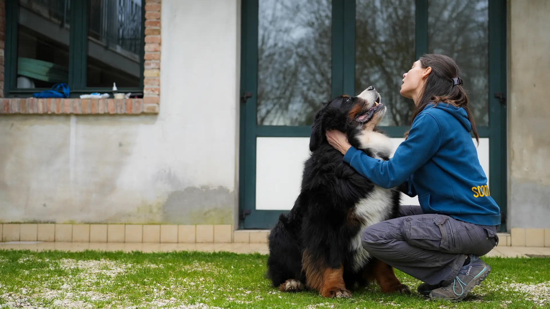 Educatrice accovacciata che tiene il muso di un bovaro del Bernese mentre si guardano