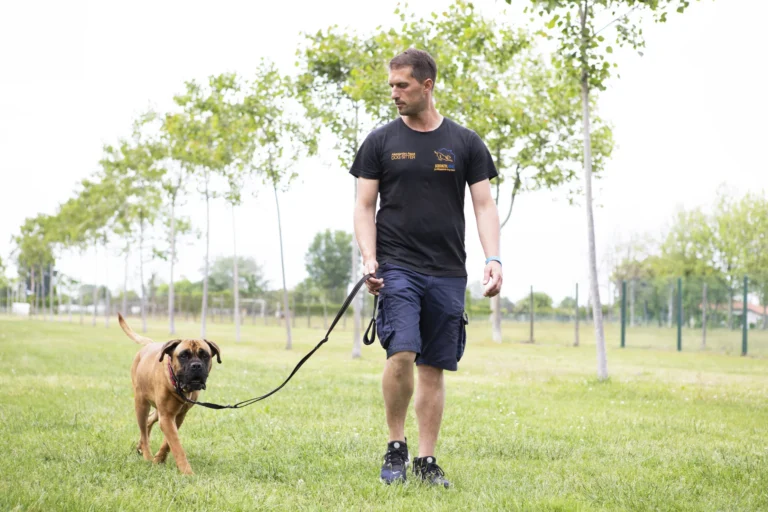 Educatore che cammina con un cane al guinzaglio in un parco