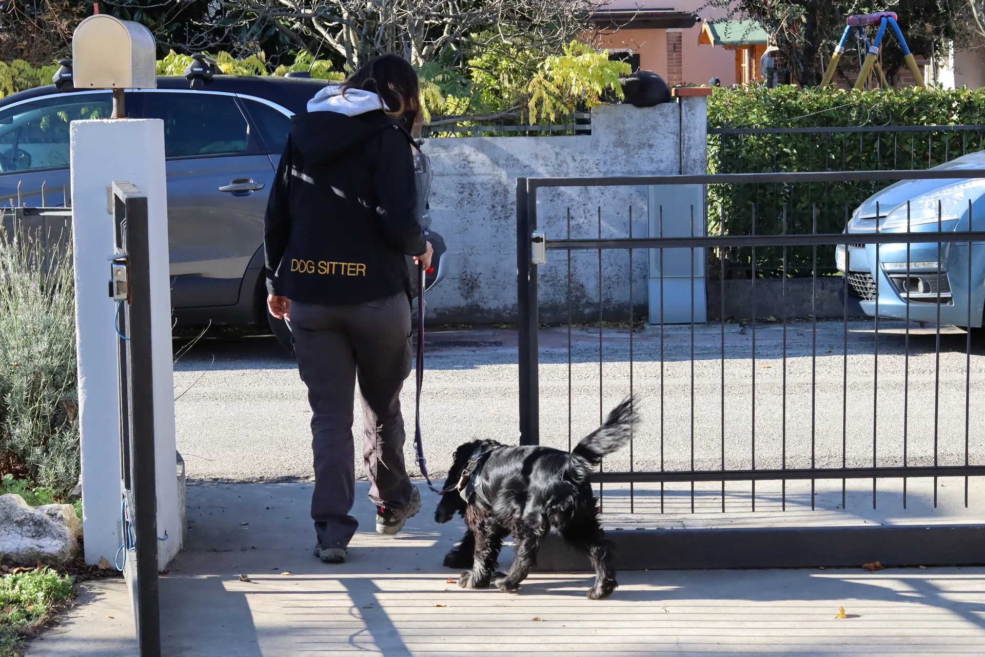 Operatrice con la giacca da lavoro entra da un cancello con un cocker nero al guinzaglio