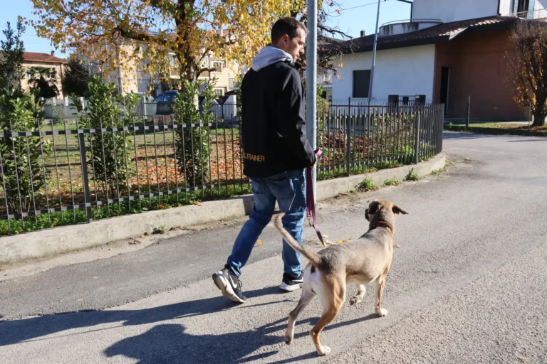 Uomo che passeggia con un cane al guinzaglio lungo una strada residenziale