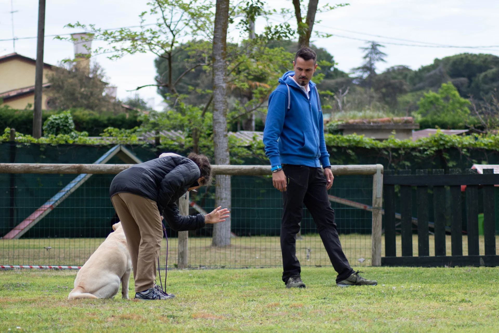 Due persone lavorano con due cani in un campo recintato