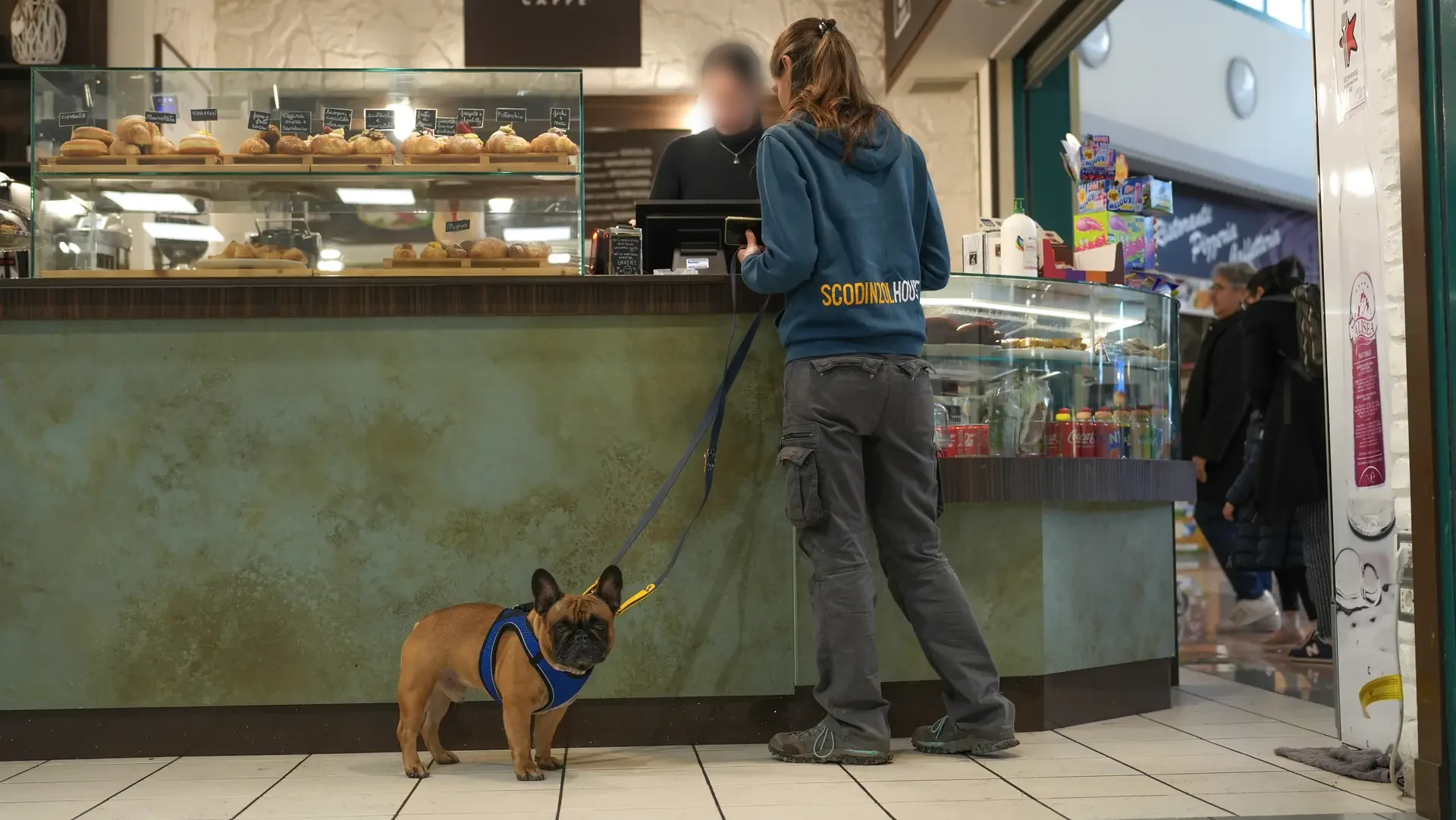 Cane al guinzaglio accanto al bancone di un locale
