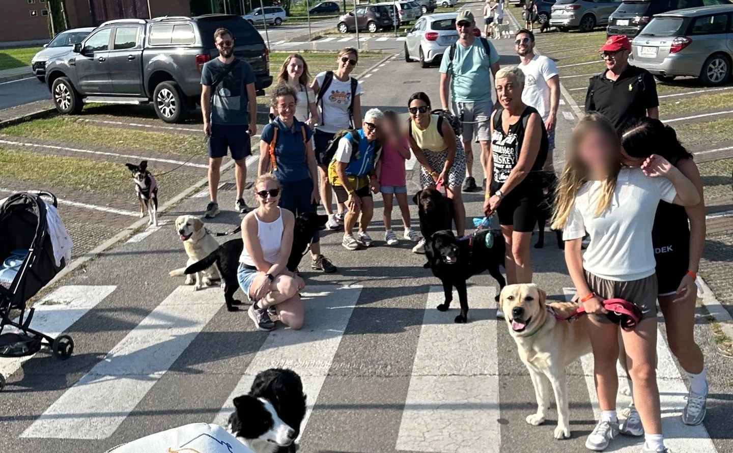 Gruppo di persone con i loro cani al guinzaglio attraversa sulle strisce durante un'uscita di Impronta Urbana a San Dona di Piave